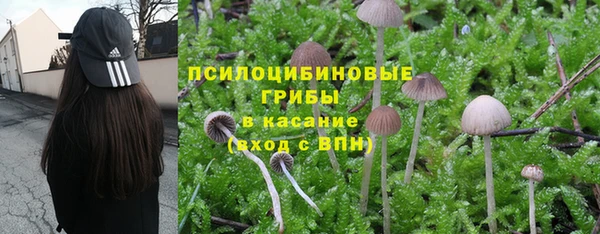 ешки Богданович